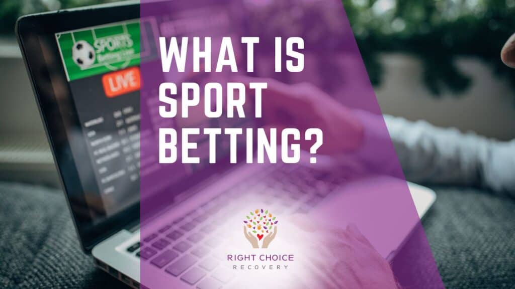 Exploring the Exciting Gamification Features in Sportsbooks